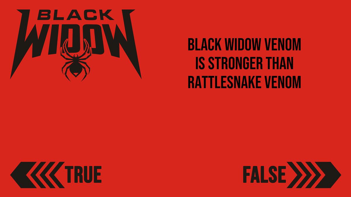 Black Widow image number null